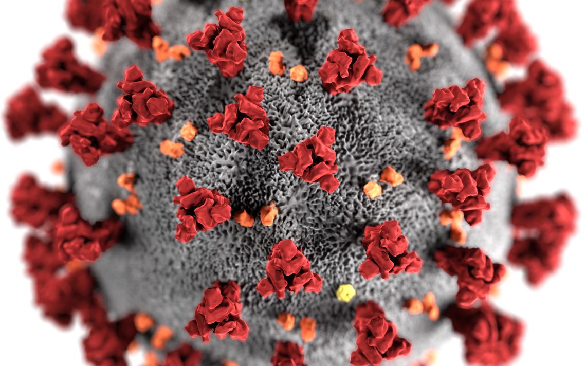 Coronavirus and quiropractic services in Central Florida